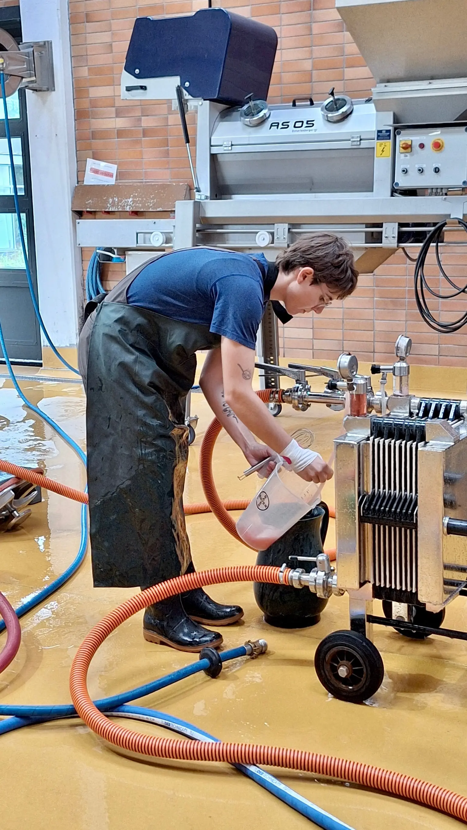 Marie Schwesinger – Die Weinsteigerin