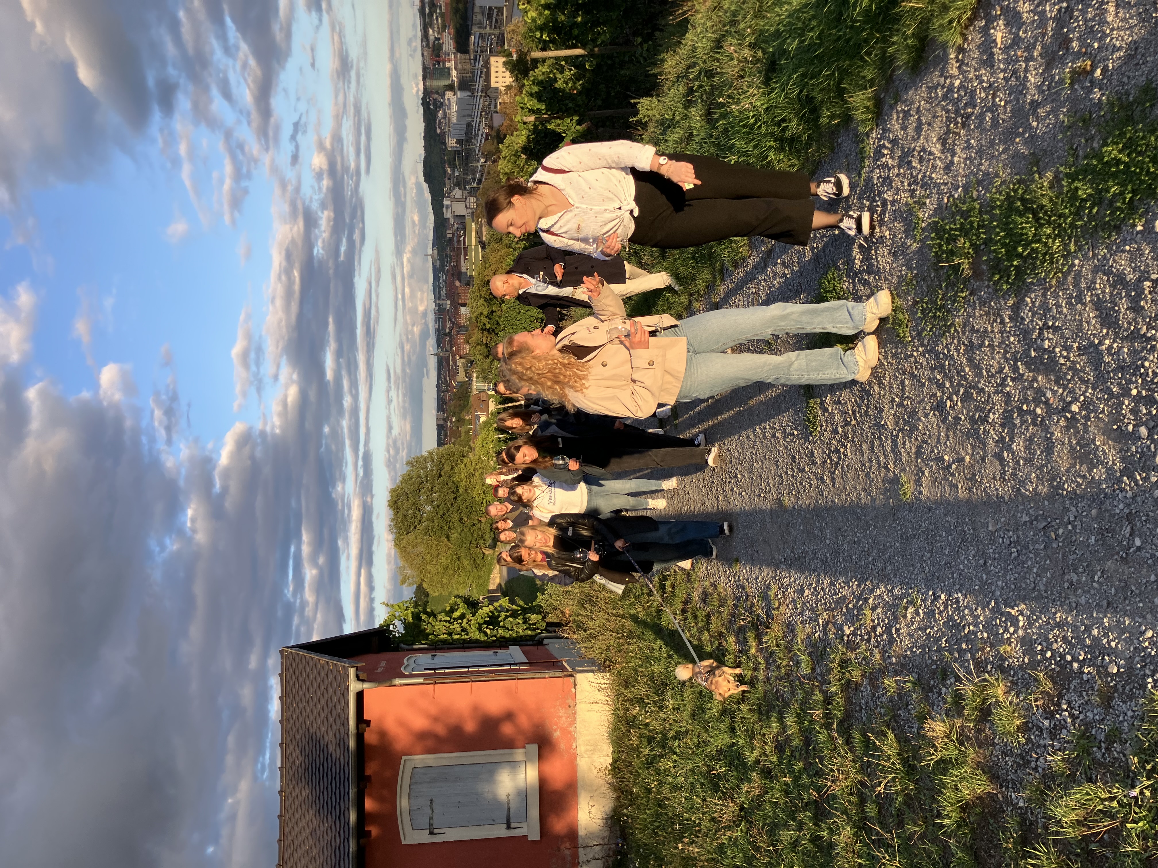 Sip & Stroll - Würzburger Stein Edition